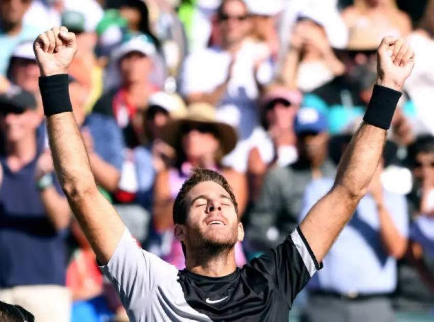 Juan Martin del Potro annonce une très triste nouvelle pour sa famille